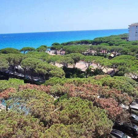 The Sea Blanes